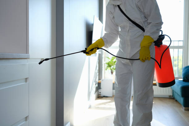 Best Professional Mold Removal  in Whitley City, KY
